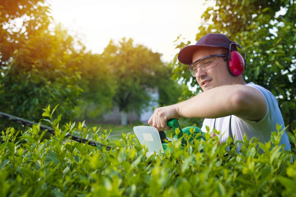 man trimming hedge